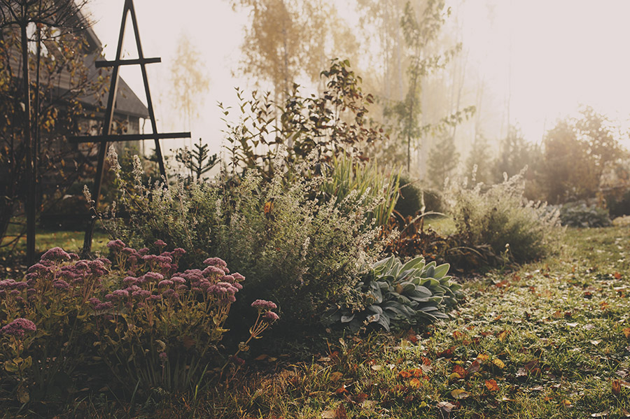 Fall_Gardening_preserve
