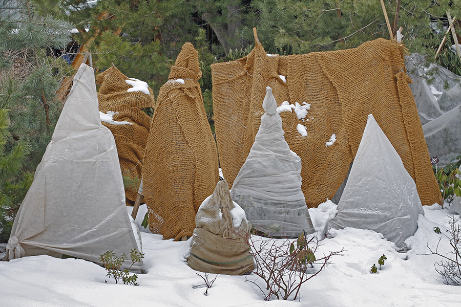 Fall_Gardening_protection