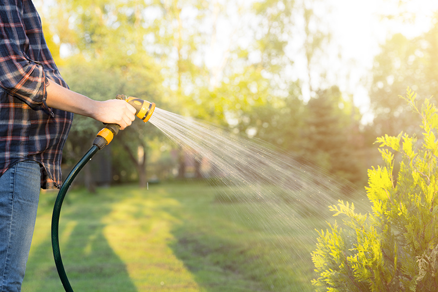 Falll_Gardening_Water Falll_Gardening_Water