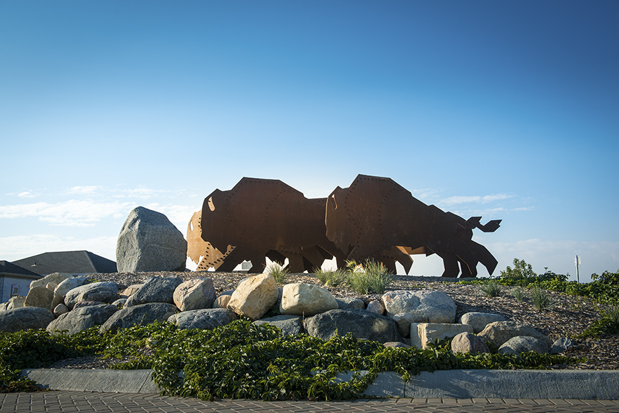 RRW--Bison-PublicArt RRW--Bison-PublicArt