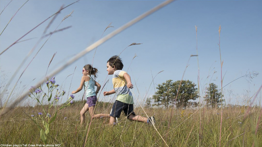 Children in tall grass prairie-QC