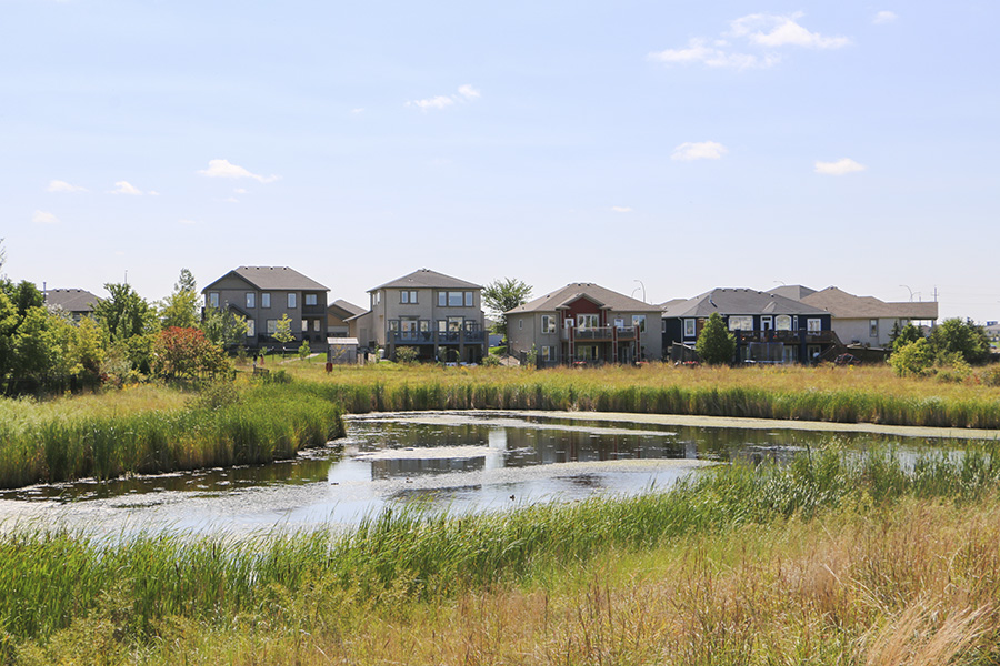 Naturalized wetland of 15 years in Phase 1 of Sage Creek 