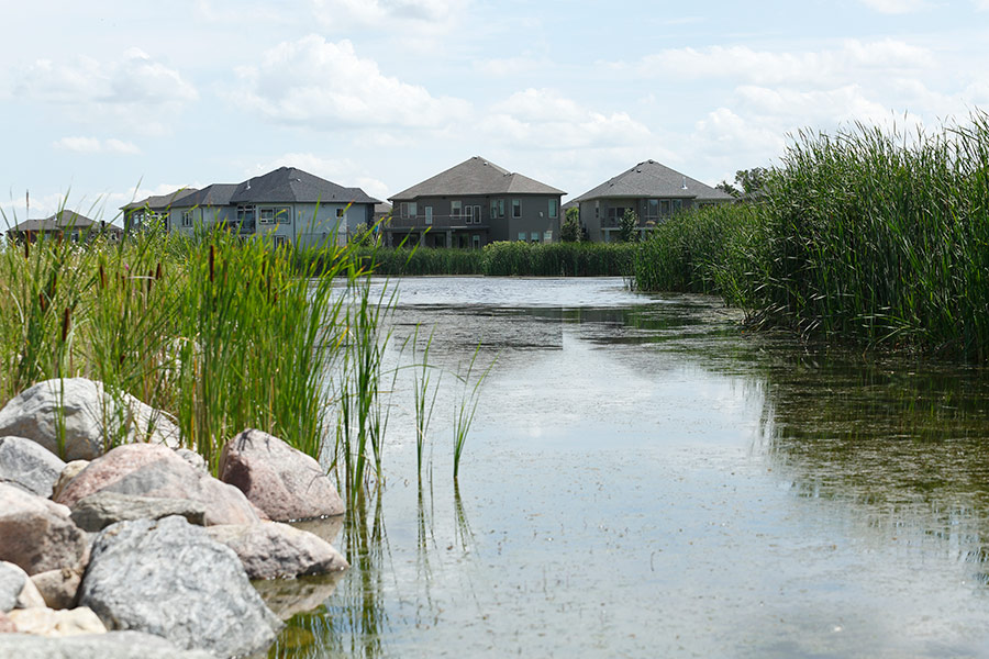 Wetland - Southlands Village at Pritchard Farm