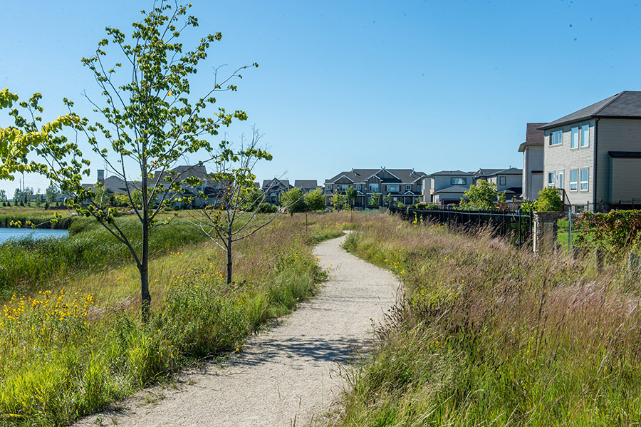 Sage Creek Trails