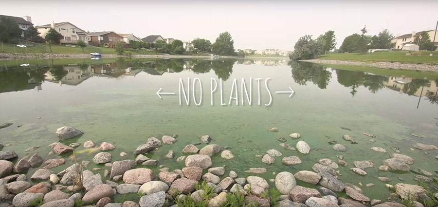 Wetlands - No Plants